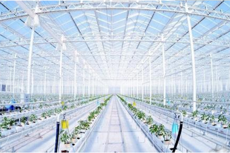 利用物联网技术，补偿传统农业弊端的现代农业，对植株的生长环境需求进行“精确”的定量，对产量进行有效率的制约，对质量更好的把关，农业物联网由感知层、传输层和处理层三部分构成