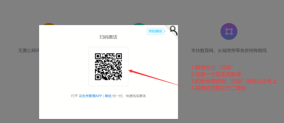 激活花生壳 image.png